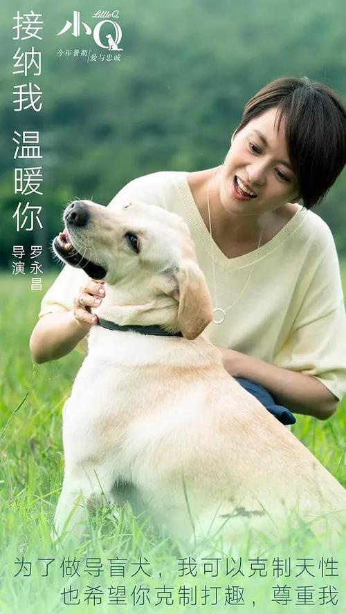 西蒙斯学院文凭毕业证怎么仿制